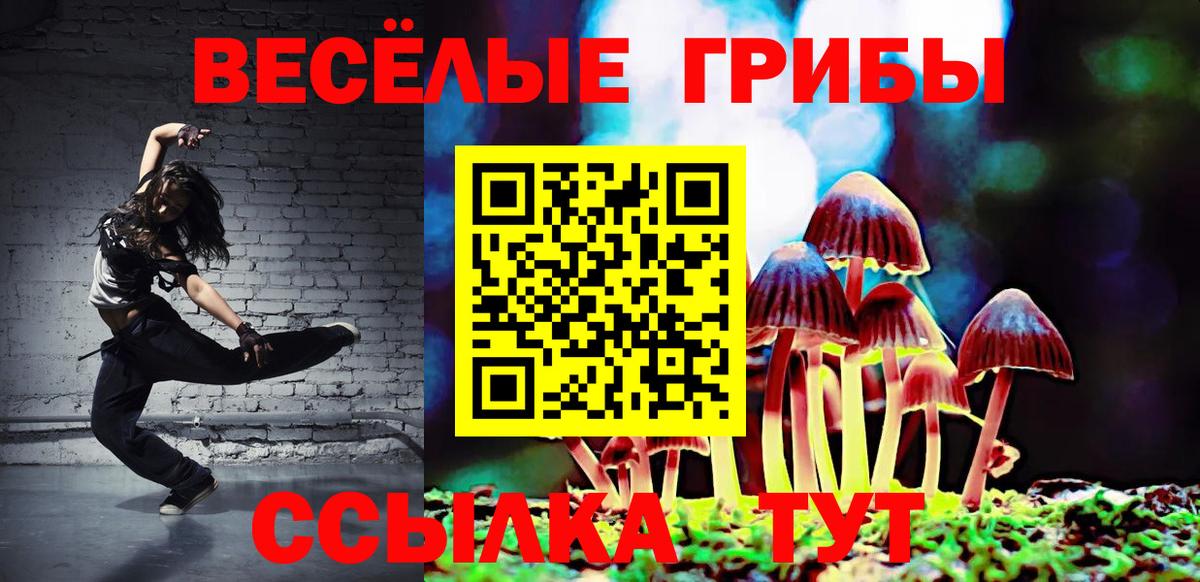 Лыткарино  Псилоцибиновые грибы GOLDEN TEACHER  Вход с VPN 